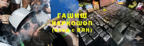 гашик Аркадак